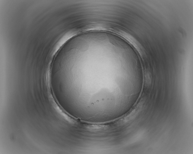 X0000112181290200908071318