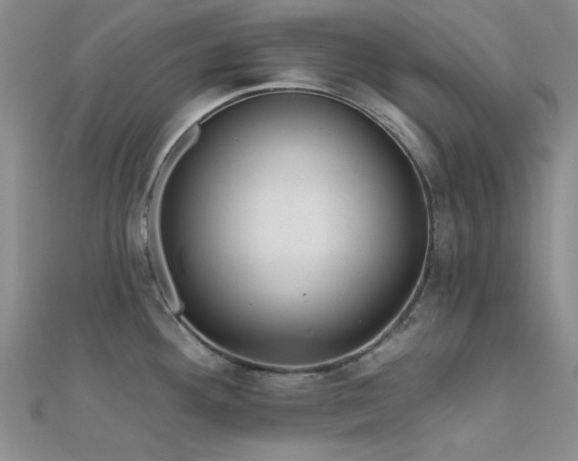 X0000112181292200908071318