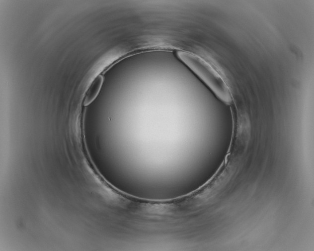 X0000112181293200908071318