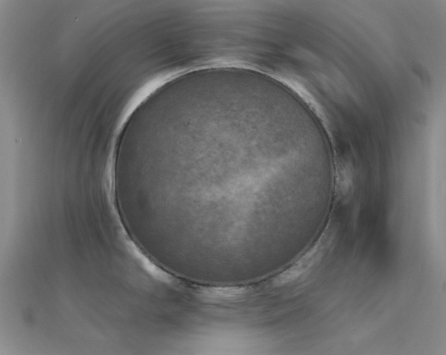 X0000112181294200908071318