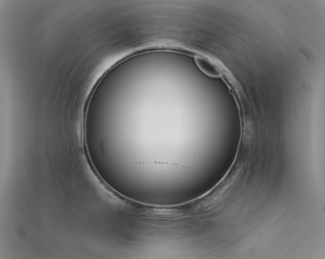 X0000112181295200908071318