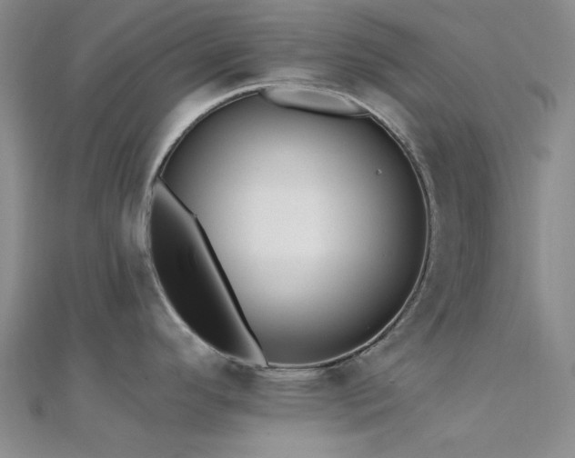 X0000112181296200908071318