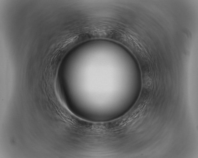 X0000112181297200908071318