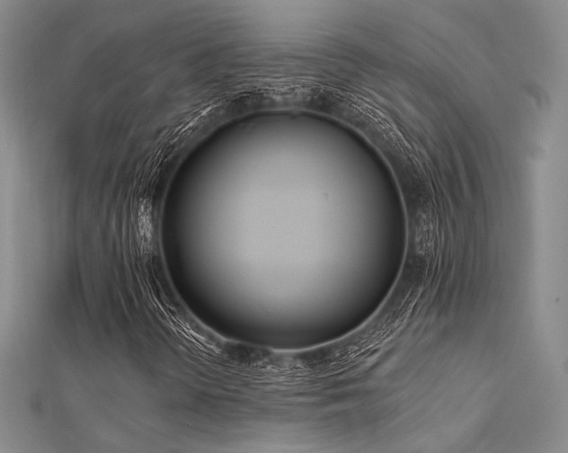 X0000112181298200908071318