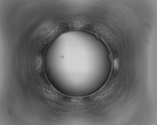 X0000112181299200908071318