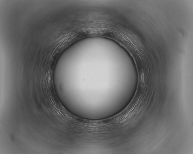 X0000112181300200908071318