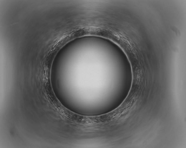 X0000112181301200908071318