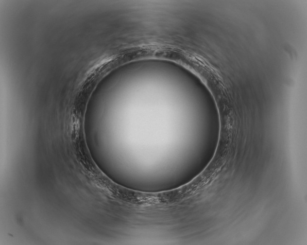 X0000112181302200908071318