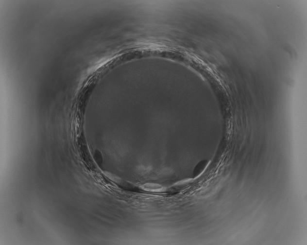 X0000112181303200908071318