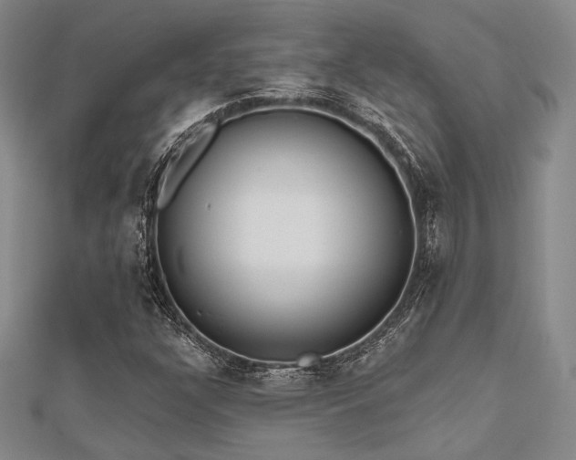 X0000112181304200908071318