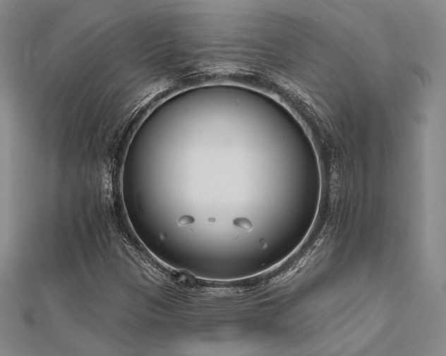 X0000112181305200908071318