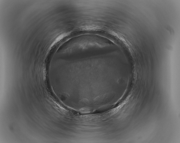 X0000112181306200908071318