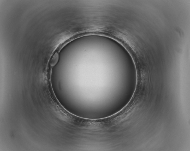 X0000112181308200908071318