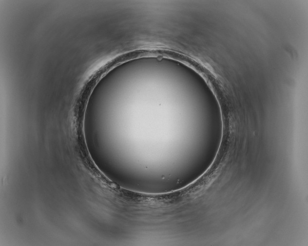 X0000112181311200908071318