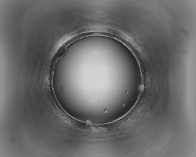 X0000112181312200908071318