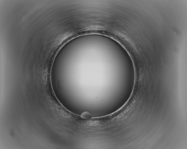 X0000112181313200908071318