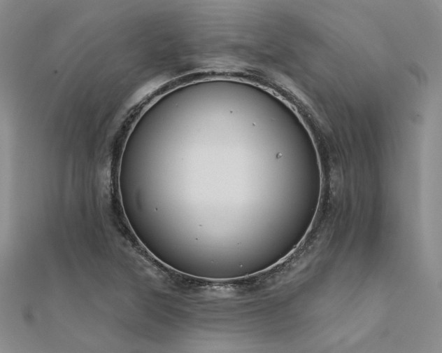 X0000112181315200908071318