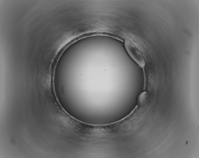 X0000112181316200908071318