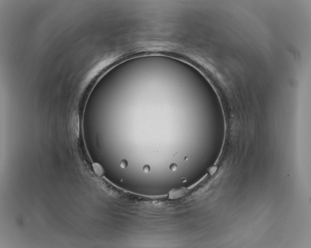 X0000112181317200908071318