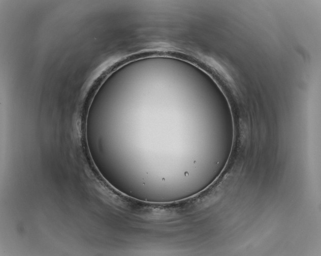 X0000112181318200908071318