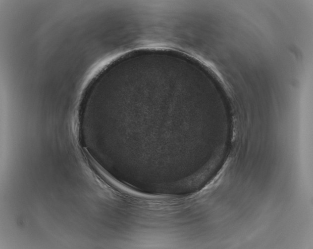 X0000112181319200908071318