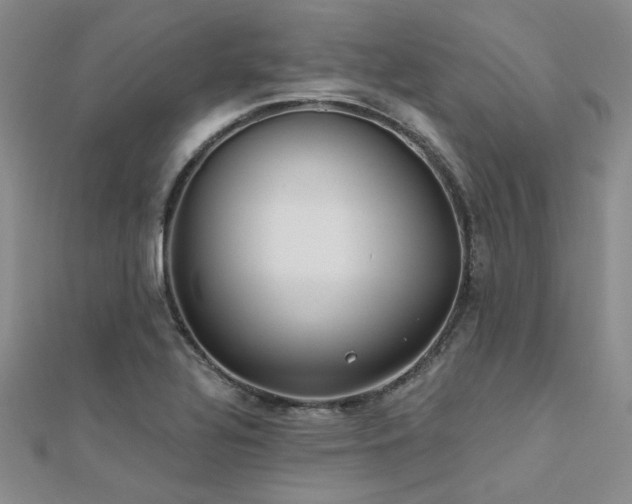 X0000112181320200908071318