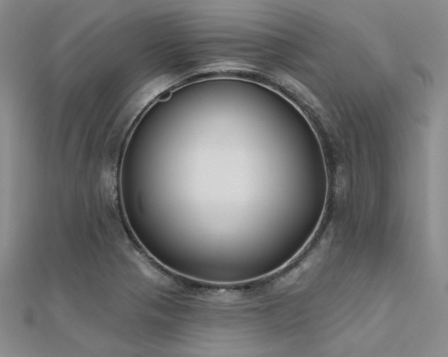 X0000112181321200908071318