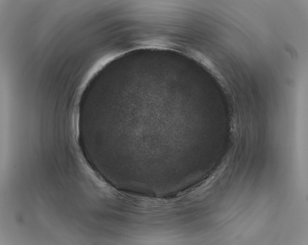 X0000112181323200908071318