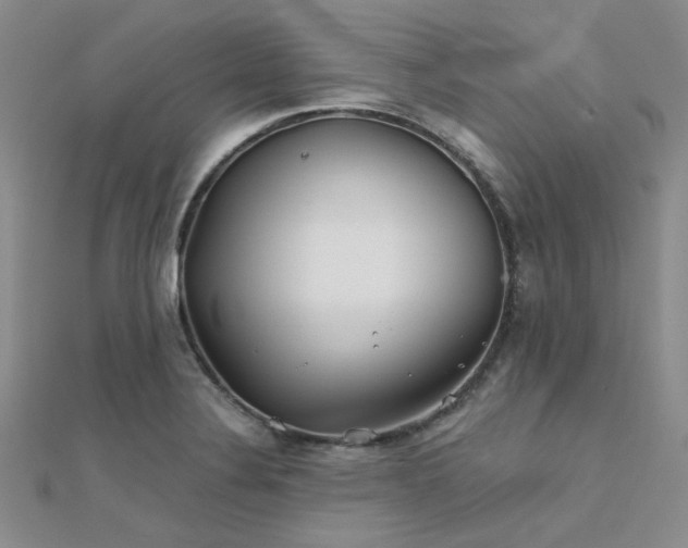 X0000112181324200908071318