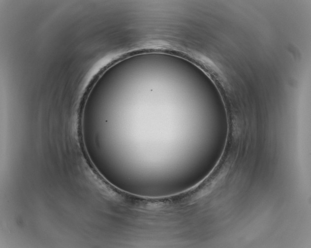 X0000112181326200908071318