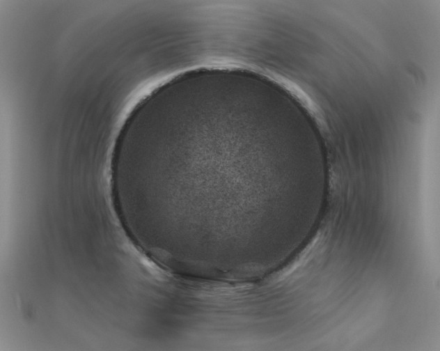 X0000112181327200908071318