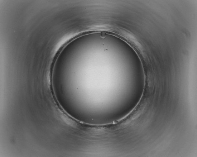 X0000112181328200908071318