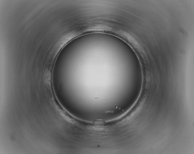 X0000112181329200908071318