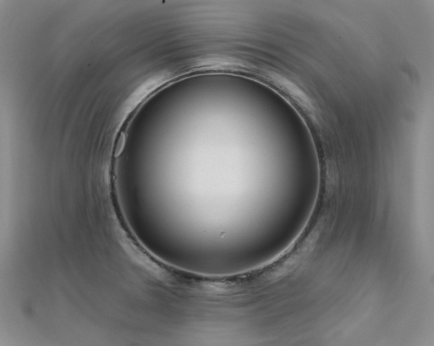 X0000112181330200908071318