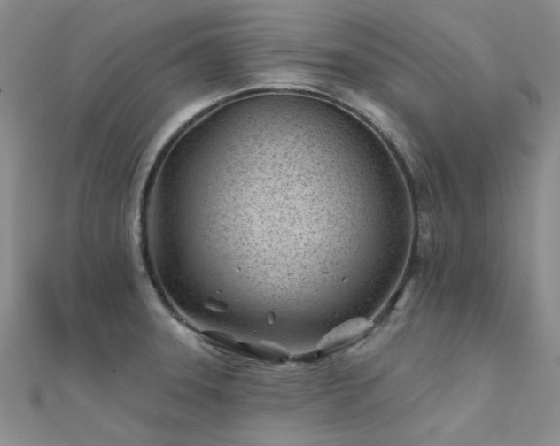 X0000112181331200908071318