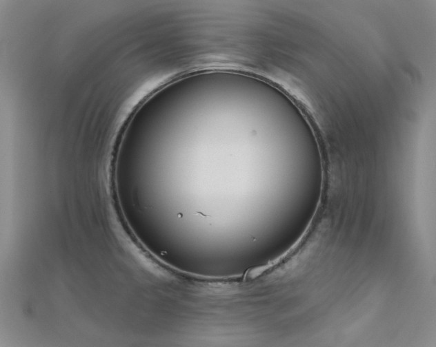 X0000112181333200908071318