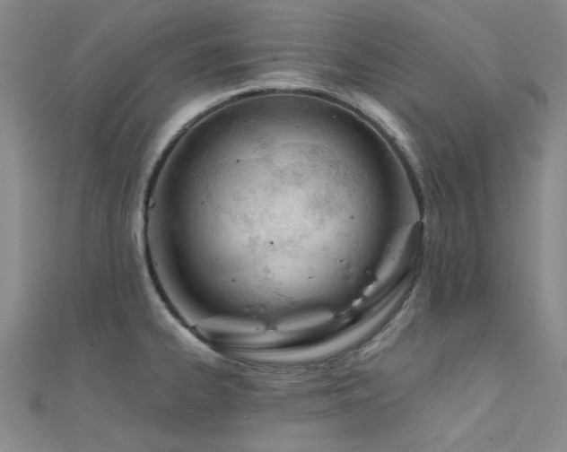 X0000112181334200908071318