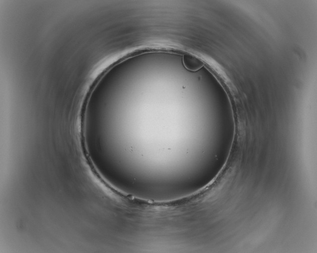 X0000112181335200908071318