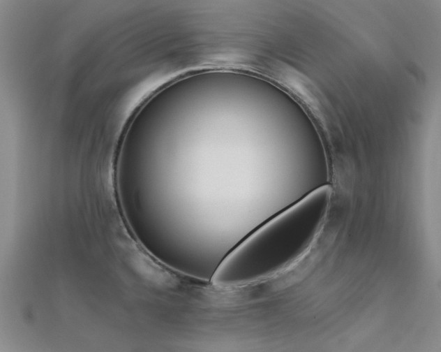 X0000112181336200908071318