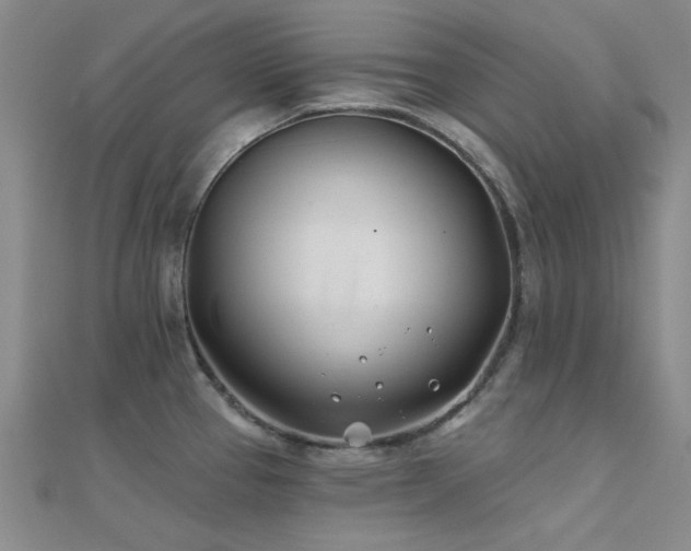 X0000112181337200908071318