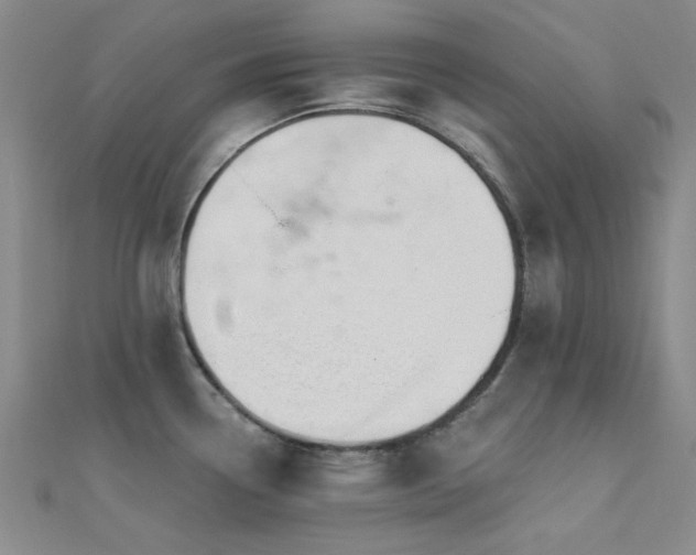 X0000112181338200908071318