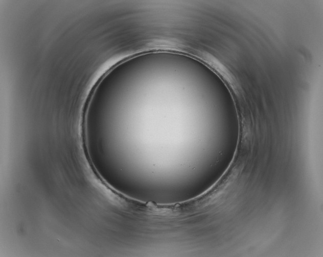 X0000112181339200908071318