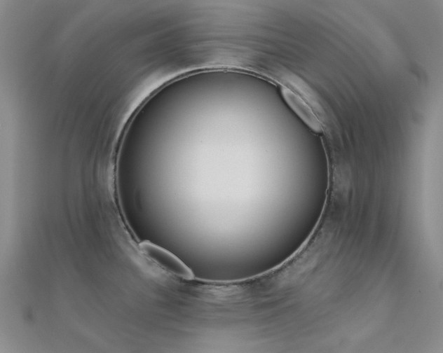 X0000112181340200908071318