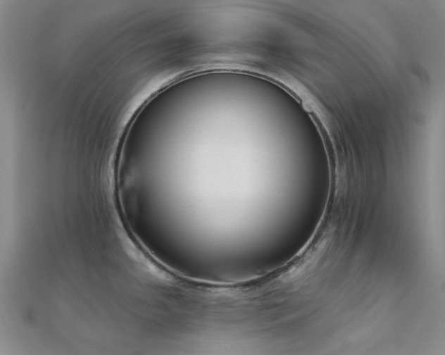 X0000112181341200908071318