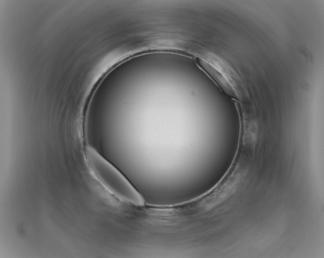 X0000112181342200908071318