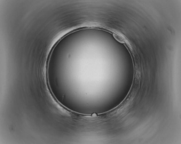 X0000112181343200908071318