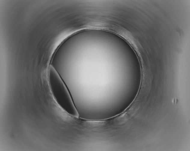 X0000112181344200908071318