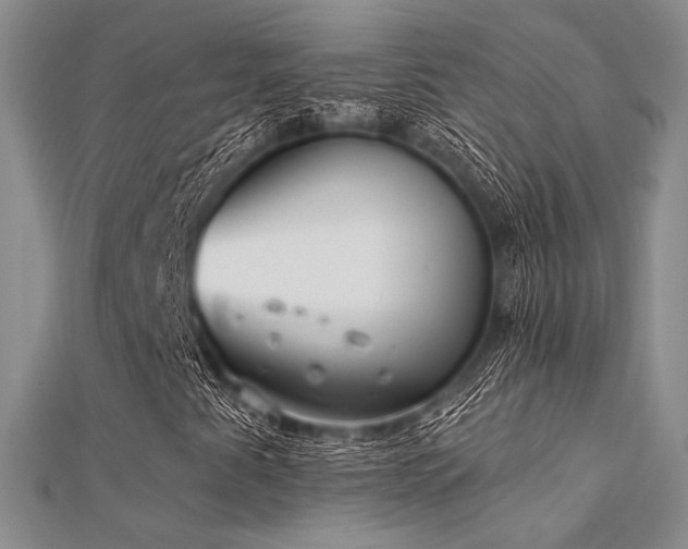 X0000112181345200908071318