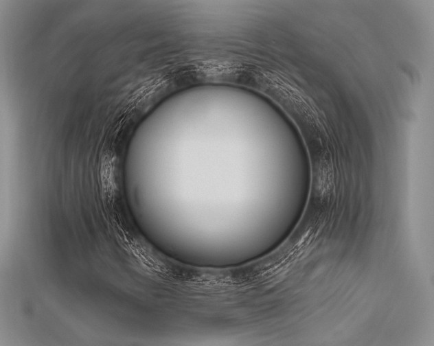 X0000112181346200908071318