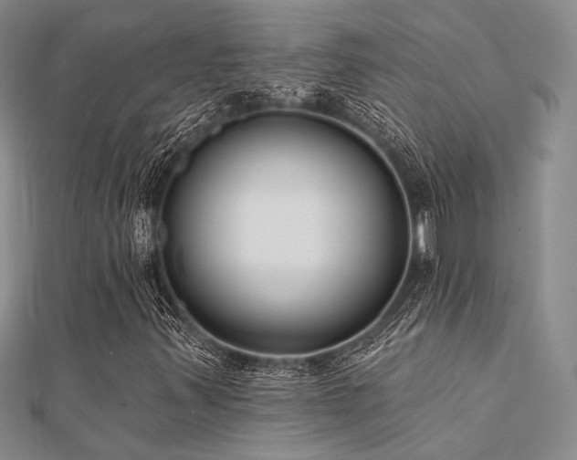 X0000112181347200908071318